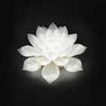 I-load ang larawan sa Gallery viewer, Lotus Lamp & Offering