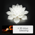 I-load ang larawan sa Gallery viewer, Lotus Lamp & Offering -- Gaolong Temple
